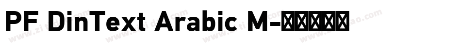 PF DinText Arabic M字体转换